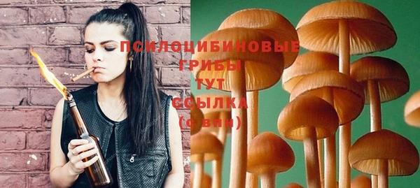 гашик Куйбышев