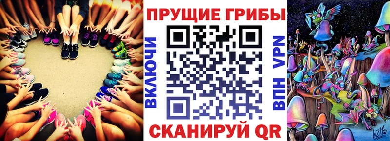 Псилоцибиновые грибы Cubensis  МЕГА как зайти  Называевск 